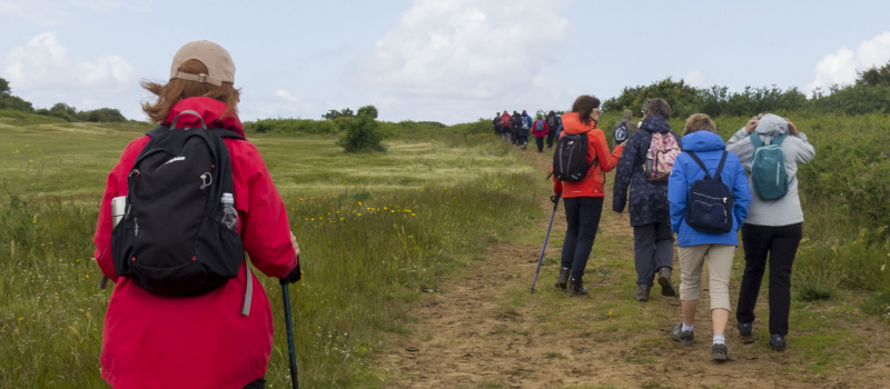 Photograph of Walking Route - Image 3