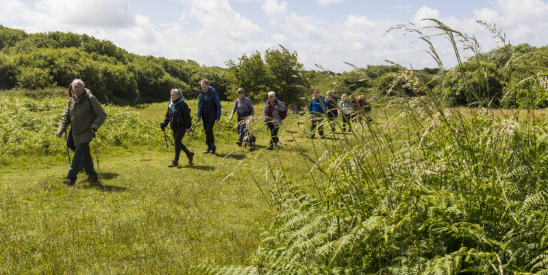 Photograph of Walking Route - Image 4