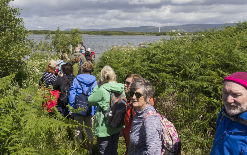 Photograph of Walking Route - Image 5