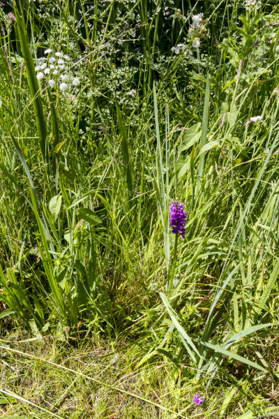 Photograph of Walking Route - Image 6