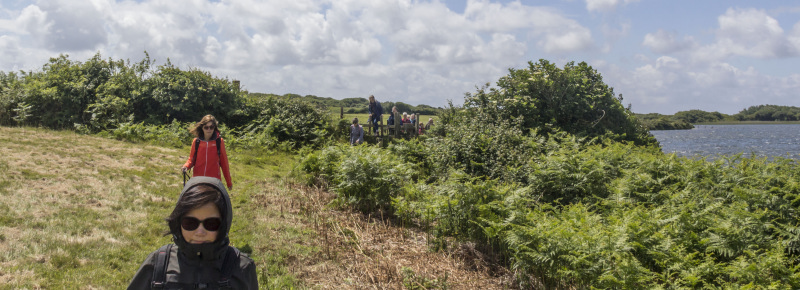 Photograph of Walking Route - Image 15