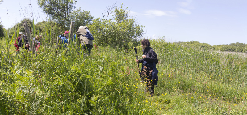 Photograph of Walking Route - Image 17