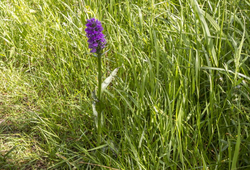 Photograph of Walking Route - Image 18