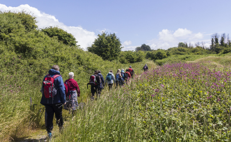 Photograph of Walking Route - Image 20