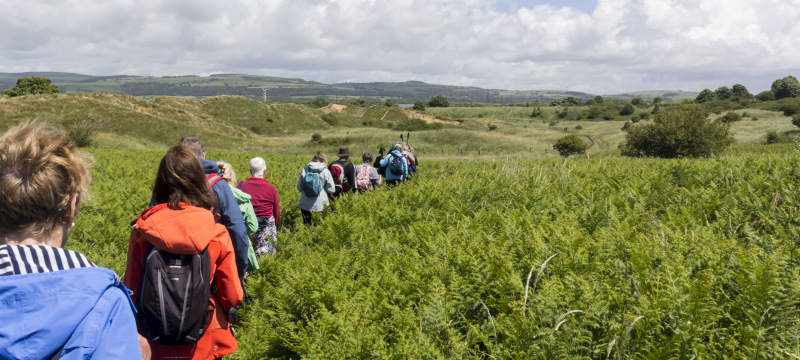 Photograph of Walking Route - Image 21