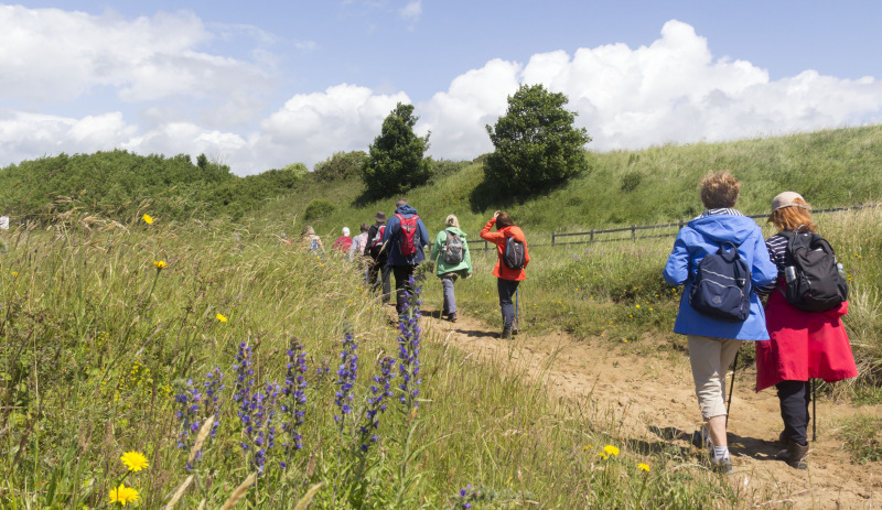 Photograph of Walking Route - Image 24