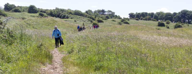 Photograph of Walking Route - Image 26