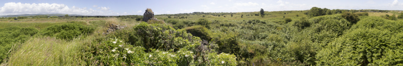Photograph of Walking Route - Image 29