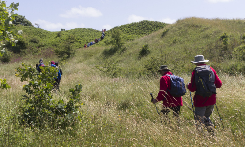Photograph of Walking Route - Image 36