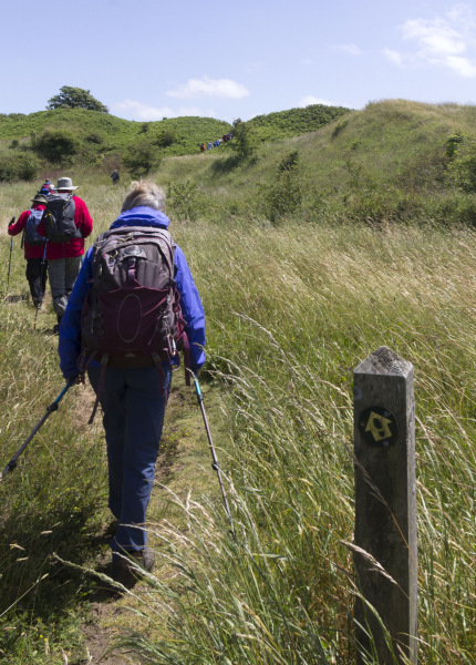 Photograph of Walking Route - Image 37