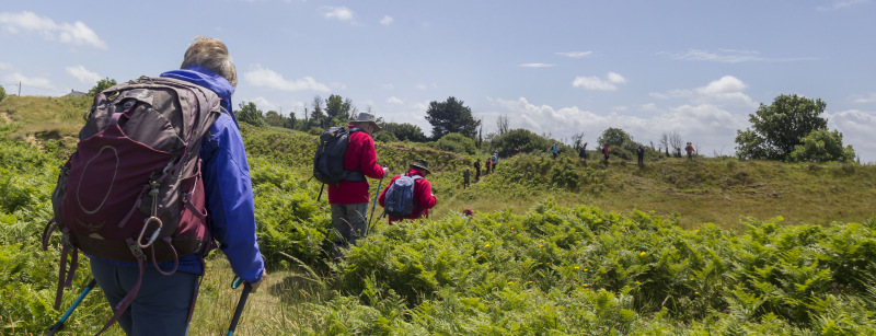 Photograph of Walking Route - Image 38