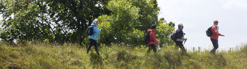 Photograph of Walking Route - Image 39
