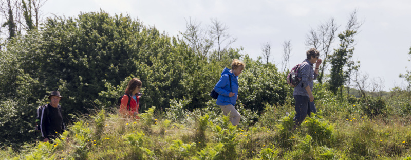 Photograph of Walking Route - Image 40