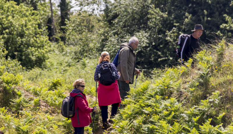 Photograph of Walking Route - Image 41
