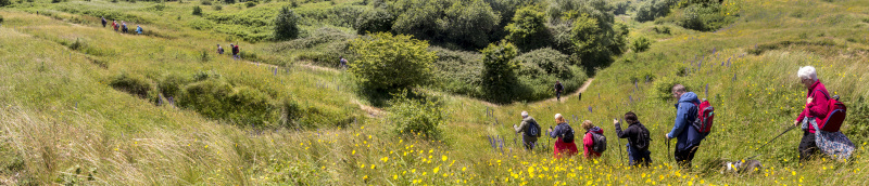 Photograph of Walking Route - Image 46