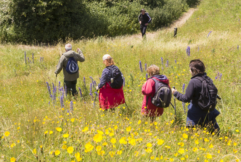 Photograph of Walking Route - Image 47