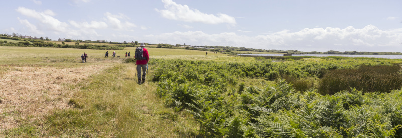 Photograph of Walking Route - Image 49