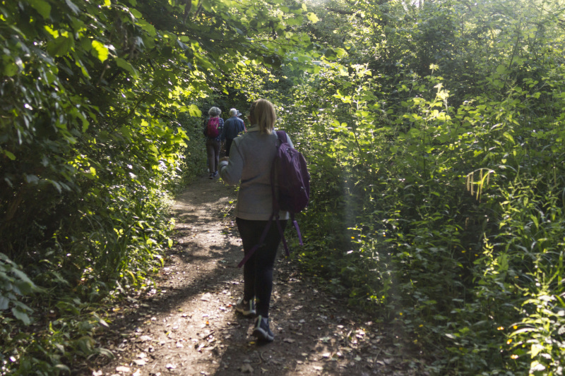 Photograph of Walking Route - Image 2