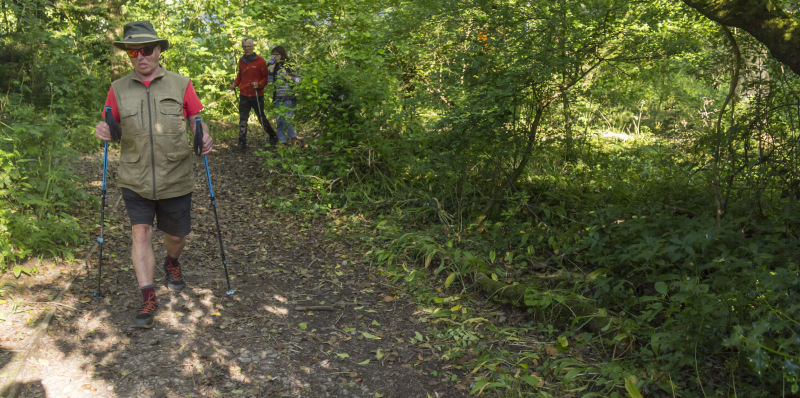 Photograph of Walking Route - Image 3