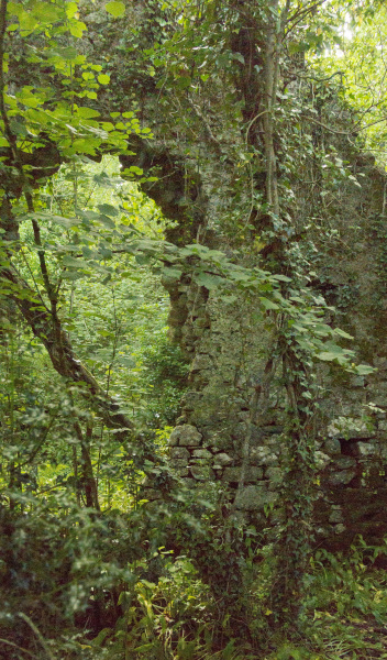 Photograph of Walking Route - Image 4