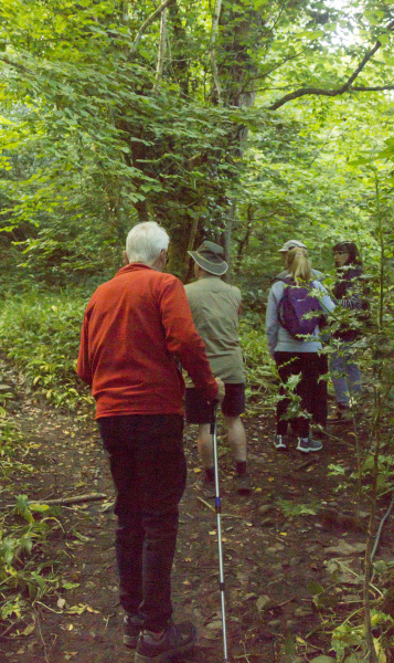 Photograph of Walking Route - Image 5