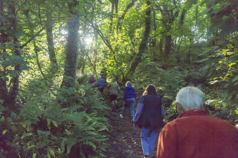 Photograph of Walking Route - Image 6