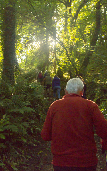 Photograph of Walking Route - Image 7