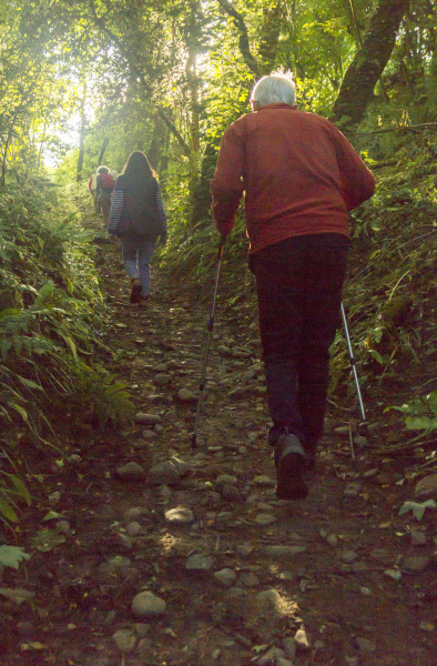 Photograph of Walking Route - Image 8