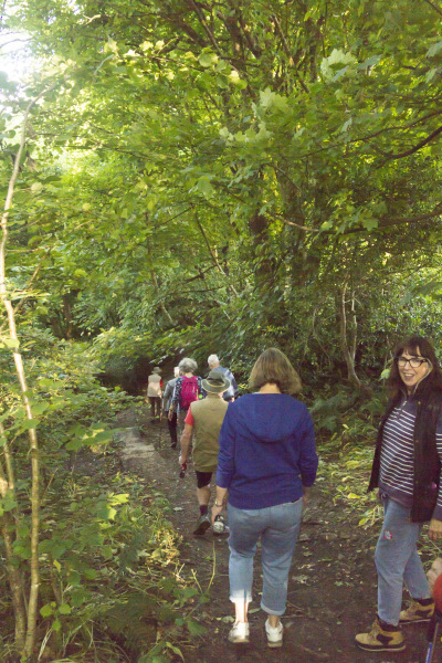 Photograph of Walking Route - Image 9
