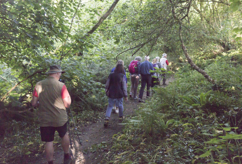 Photograph of Walking Route - Image 10