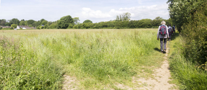 Photograph of Walking Route - Image 2