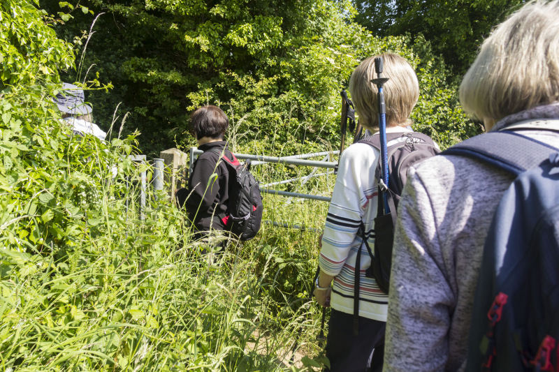 Photograph of Walking Route - Image 4