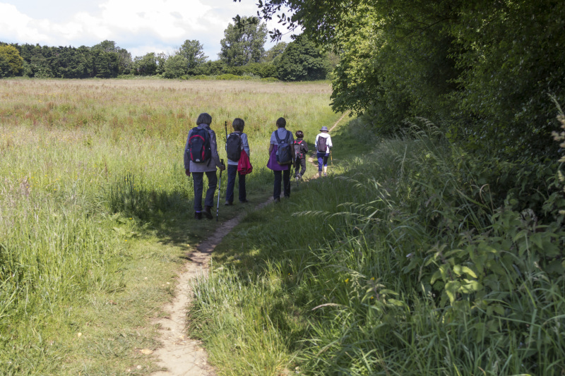 Photograph of Walking Route - Image 5