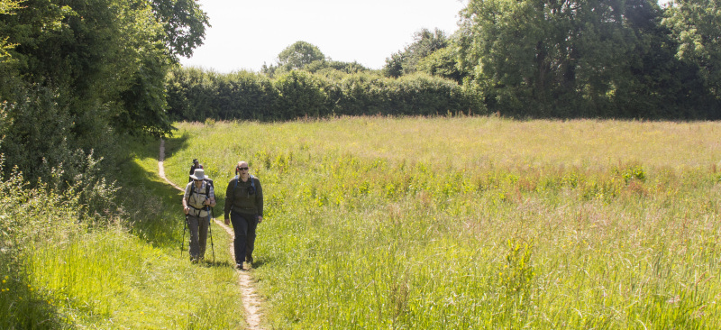 Photograph of Walking Route - Image 7