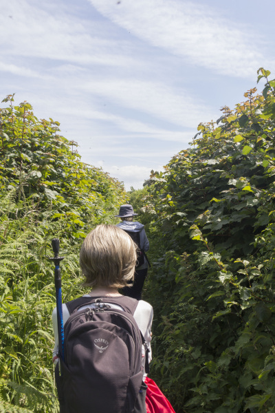 Photograph of Walking Route - Image 8
