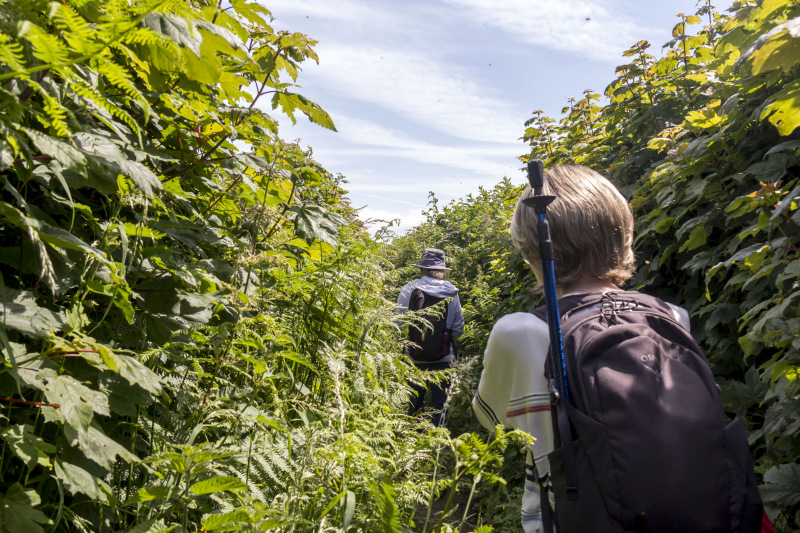 Photograph of Walking Route - Image 9