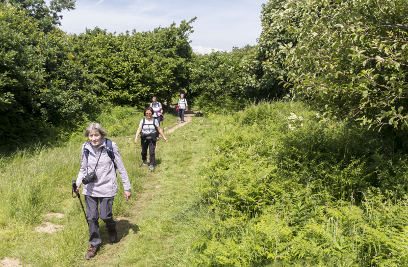 Photograph of Walking Route - Image 11
