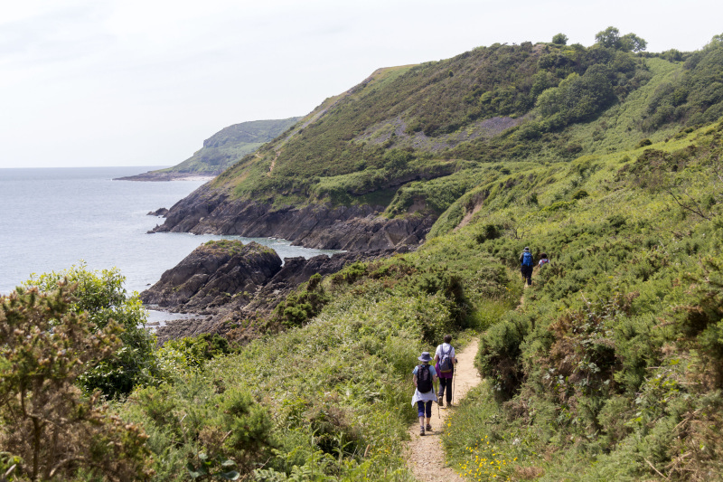 Photograph of Walking Route - Image 31