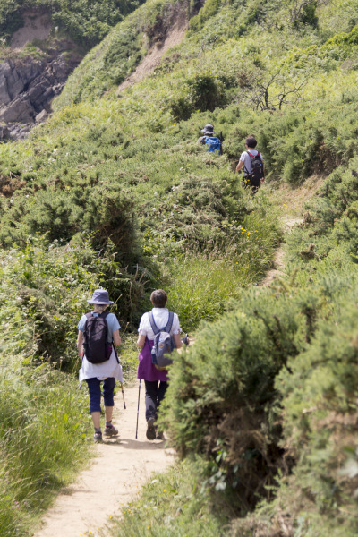 Photograph of Walking Route - Image 32