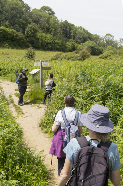 Photograph of Walking Route - Image 33