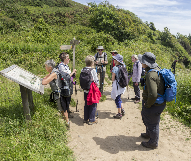 Photograph of Walking Route - Image 34