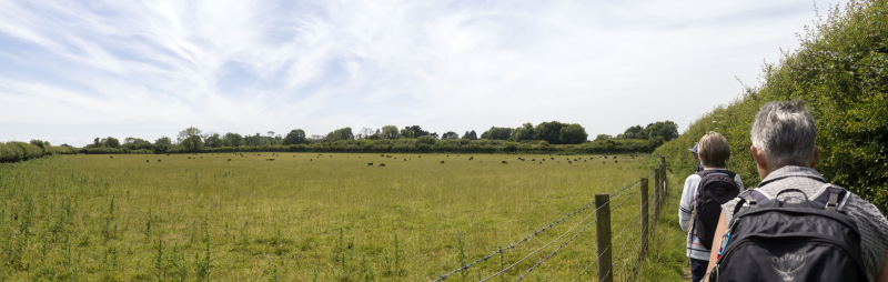Photograph of Walking Route - Image 35