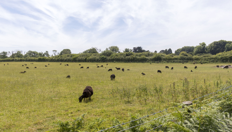 Photograph of Walking Route - Image 36