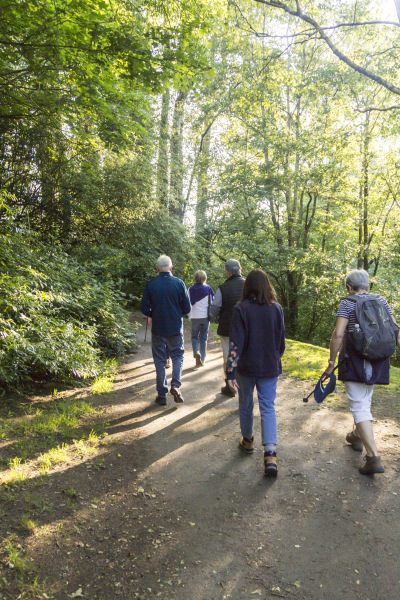 Photograph of Walking Route - Image 5