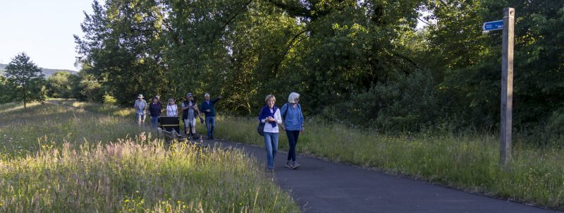 Photograph of Walking Route - Image 6