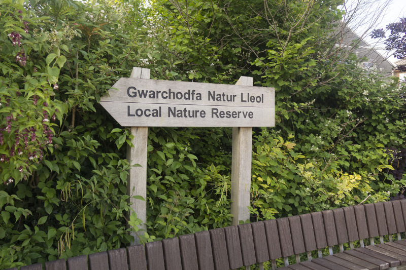 Photograph of Walking Route - Image 4