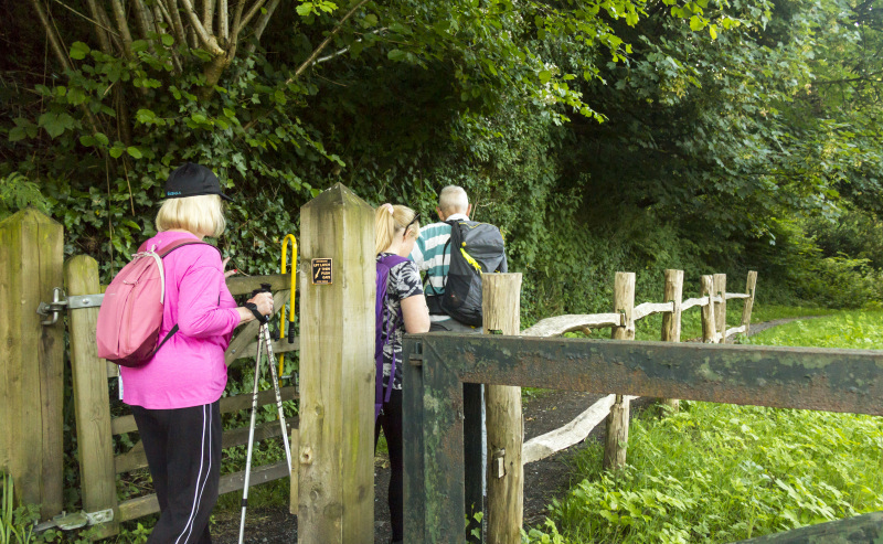 Photograph of Walking Route - Image 5