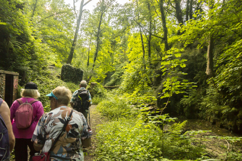 Photograph of Walking Route - Image 6
