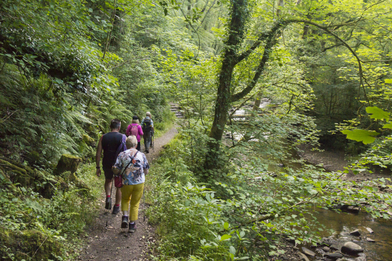 Photograph of Walking Route - Image 7