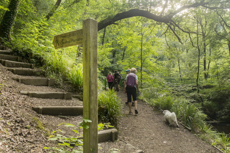 Photograph of Walking Route - Image 9